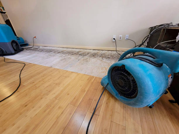Professional Water Damage Repair technician working in Tupman, CA